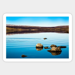 Cow Green Reservoir Sticker